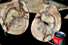 PAIRE DE LITHOPHYSE GEANTE DE FREJUS (VAR)