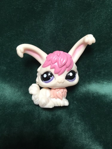 Petshop lapin angora - petshop,