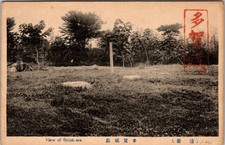 Japan Circa 1930 Taga Castle