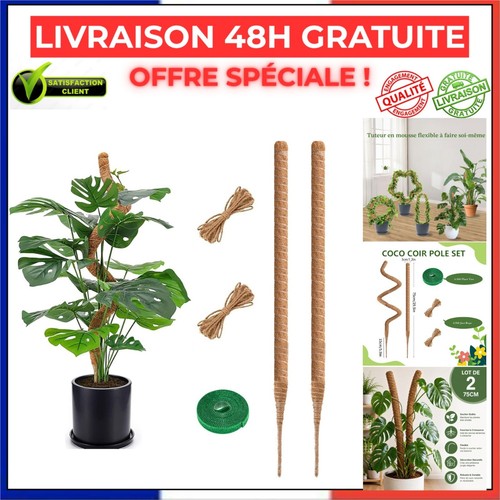 Tuteur monstera lot de 2 - lot,