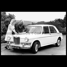 Photo A.017494 RILEY KESTREL