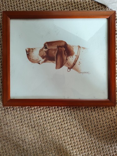 Jacques cartier gravure - cartier,