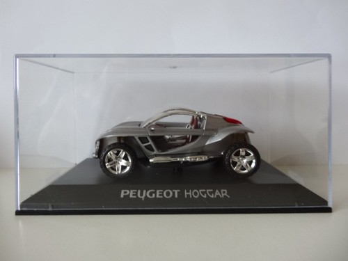 Peugeot hoggar salon - -,