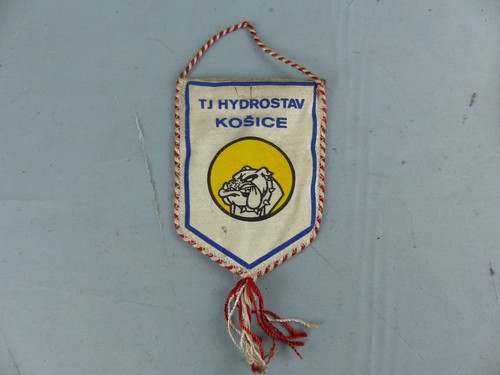 Fanion pennant ice hockey - ice,