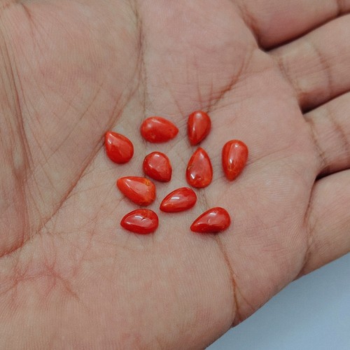 Cabochon corail rouge - cabochon, de