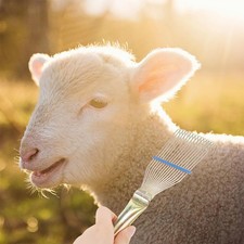  Brosse de toilettage pour