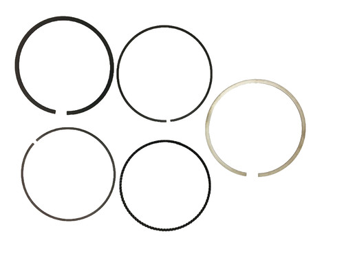 Segments ducati desmosedici - segments,