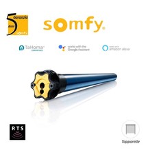 Moteur Somfy Altus 50 Rts