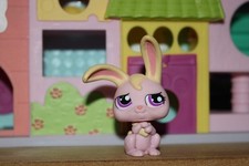 Petshop Lapin Garenne / LPS