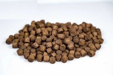 NEW! FLOATING Course Carp Match Fishing Pellets - ALL SIZES - 1KG,2KG,5KG
