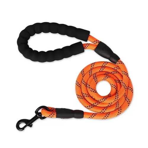 Laisse solide pour chien - laisse,