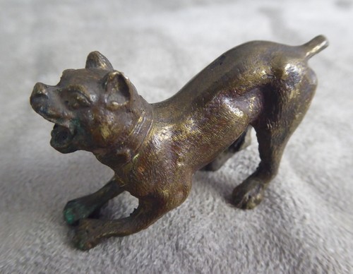 Chien bouledogue petite - chien,