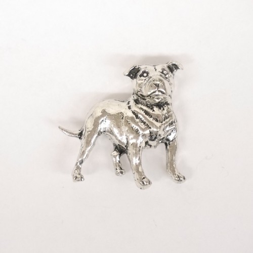 Staff bull terrier - bull, bullterrier