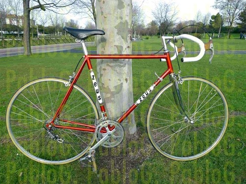 Zeus nerwig classique - zeus, kit