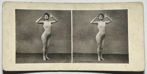 France pose plastique - france,