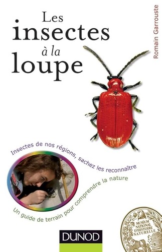 Les insectes loupe un - les, la