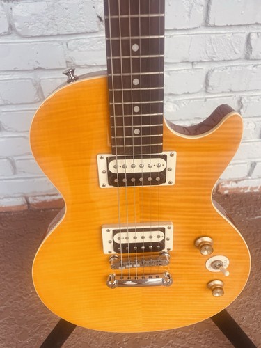 Epiphone slash afd lp - slash, flame