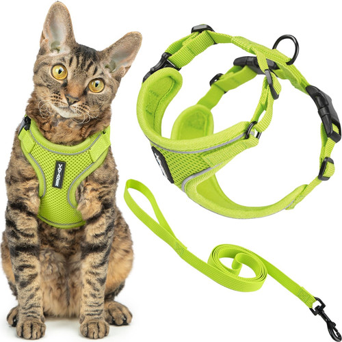 Best pet supplies - best,