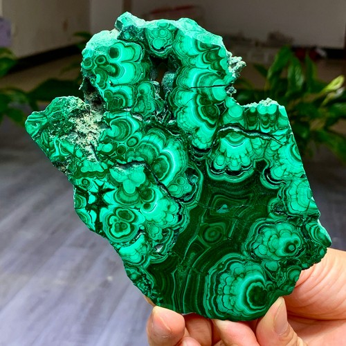 292g natural glossy malachite - natural,