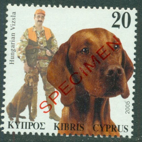 Cyprus 2005 dog - cyprus,