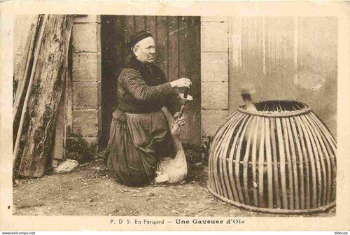 Carte postale ancienne - postale,