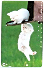 10 - CARTE TELEPHONIQUE NTT JAPONAISE SERIE CHAT - Deux chatons blancs acrobates