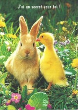 ANTIQUE POSTCARD: RABBIT AND DUCKLING