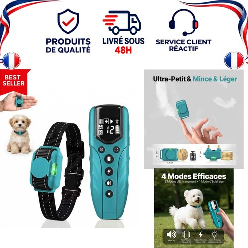 Collier dressage chien - de,