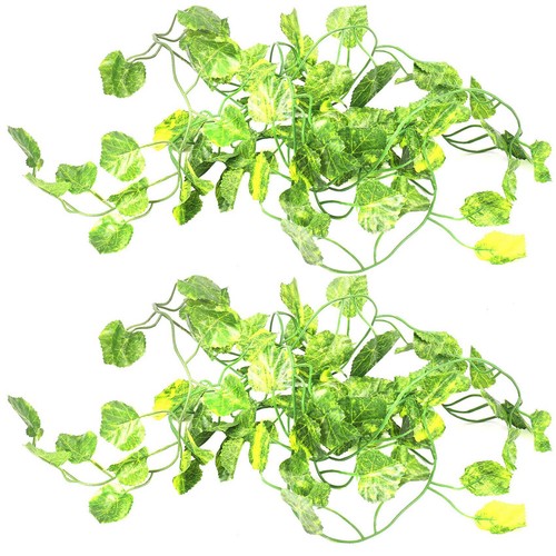 2pièces long plantes - 2pièces, de