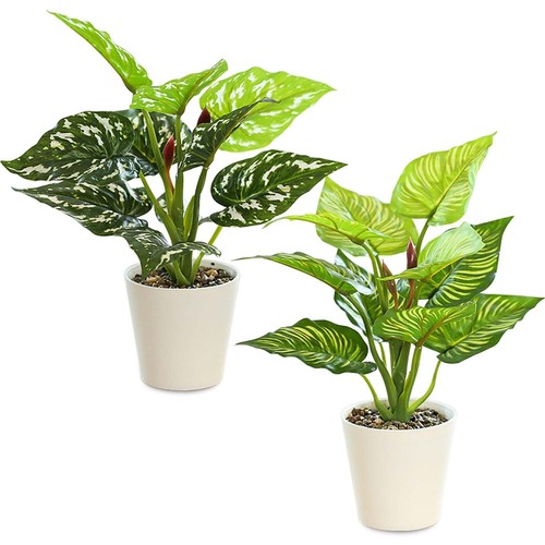 Plantes artificielles - plantes,