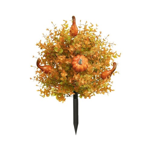 Citrouille pouces pour - 22,