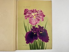 Japanese Art Book “Iris Kaempferi“ Yokohama Nursery Lithograph 18 types