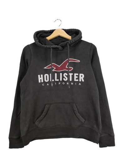 Hollister sweat capuche - sweat,