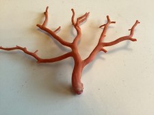 belle Branche de Corail Rouge