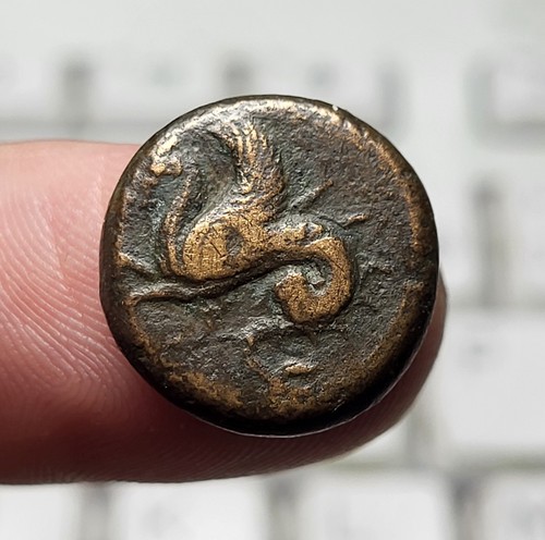 1g1 sicile syracuse - sicile,
