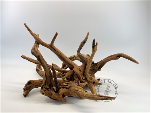 Bog wood aquarium décor - /,