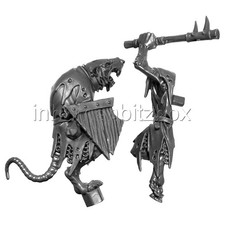 RAZK77 GUERRIER DES CLANS