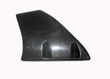 PROTEZIONE CORONA IN CARBONIO