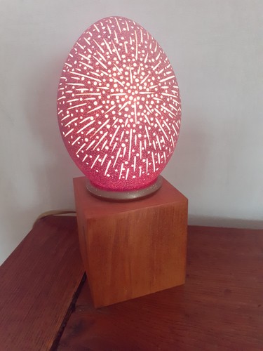 Lampe œuf emeu sculpté - lampe, d'emeu