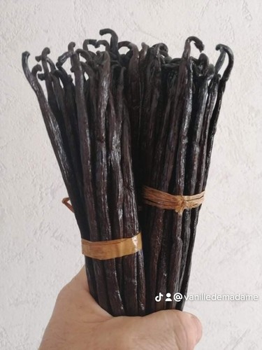Gousses vanille - , (