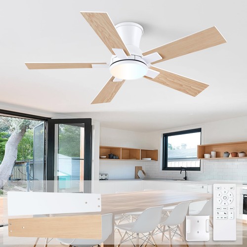 Ventilateurs plafond avec - de,