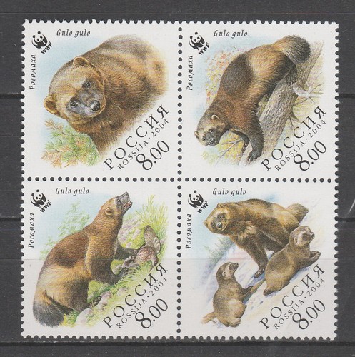 Thr wwf russie faune - wwf,