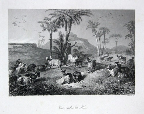1850 berger nubien égypte - berger,