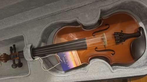 Violon gewa dans - violon,