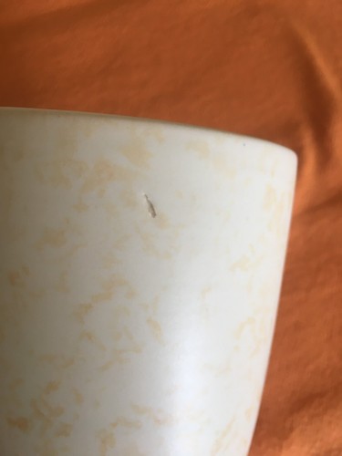 Vase deco villeroy boch - villeroy, et
