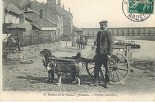 ARDENNES NOUZON Hitch Ardennes (dog hitch)
