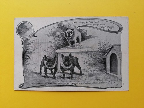 Old postcard advertising dog