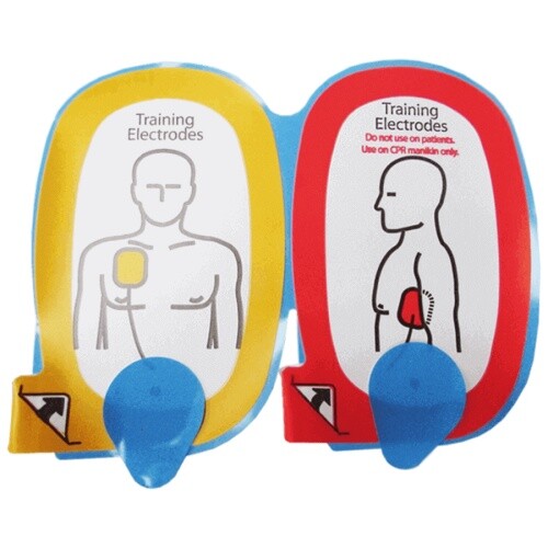 Coussins exercice pour - coussins, d'exercice