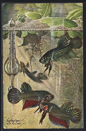 Carte postale artiste betta - postale,