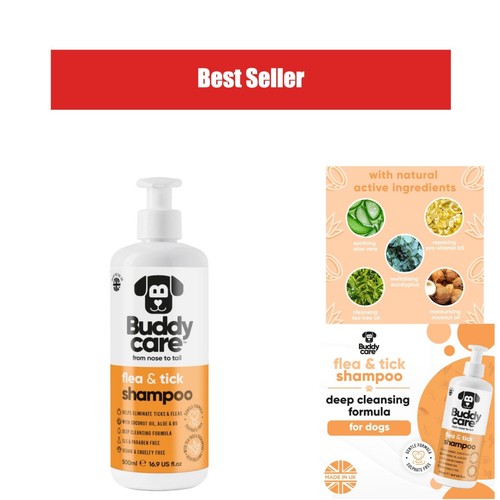 Shampoing chien anti puces - shampoing, anti-puces